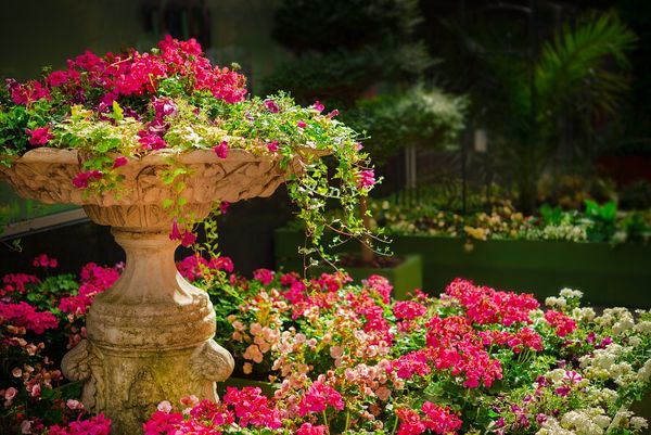 Jak eleganckie dodatki mogą odmienić Twój ogród?