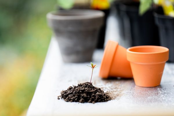 Przygotowanie gruntu pod ogród - podstawy i wyzwania